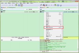 FTP服務器軟件下載與配置 軟件開發者的指南